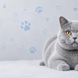 Ch. Luna BogusioweLove